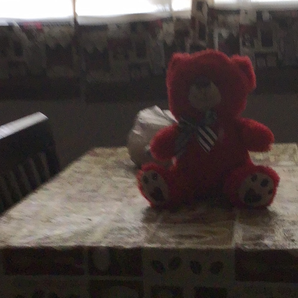 A teddy bear